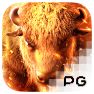 Load Data